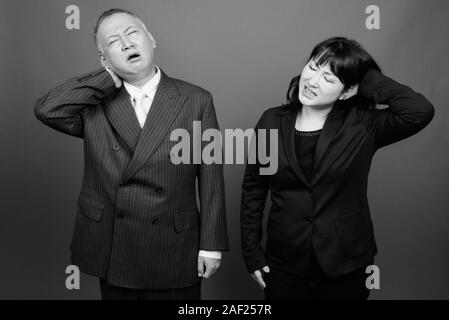 Mature Asian businessman and mature Asian businesswoman together Stock Photo