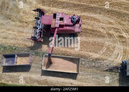 Wheat harvest in summer: combine harvester in a field near Valence in the Drome department (south-eastern France). Aerial view of a combine harvester Stock Photo