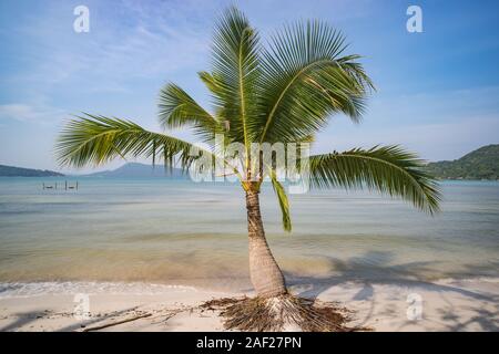 palm trees and amazing cloudy blue sky at tropical beach island in Indian Ocean. Coconut Tree with Beautiful and romantic beach in Chumphon , Thailand Stock Photo