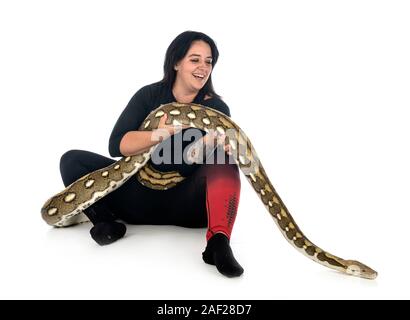 Reticulated python in front of white background Stock Photo