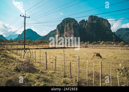 Stunning view of some cows grazing on a field with some limestone mountains illuminated by sun rays that filter through some clouds in the background. Stock Photo