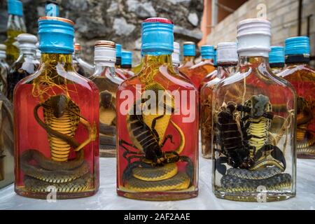 Forbidden souvenir from Laos Snake Whiskey, Snakes in whiskey bottles, Laos, Asia. traditional medicine Stock Photo