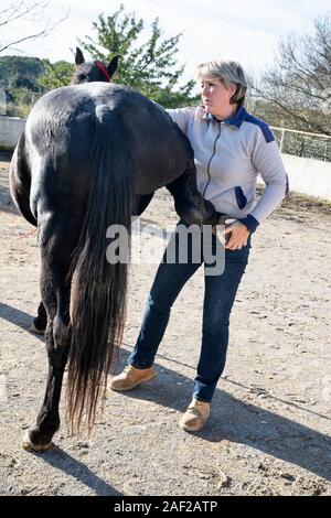 osteopath and horse for an alternative medicine Stock Photo