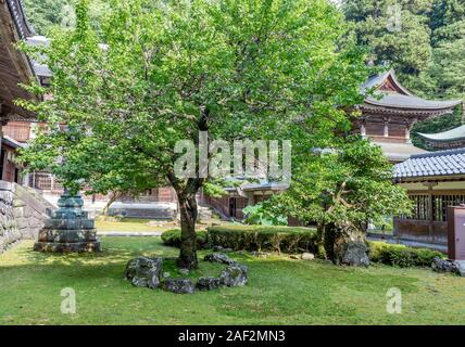 Temple buildings and trees in summer, Eiheiji, Fukui Prefecture, Japan. Stock Photo