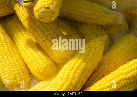 Tasty boiled corncobs in saucepan, close up view Stock Photo