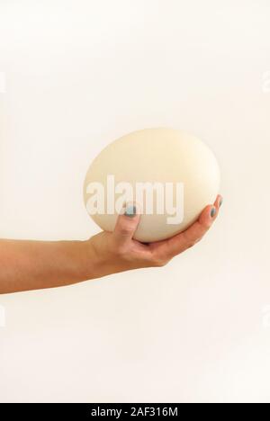 Ostrich egg food hi-res stock photography and images - Alamy