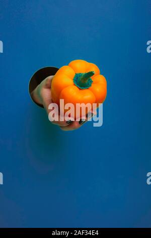 female hand in a circular hole in the blue trend background Stock Photo