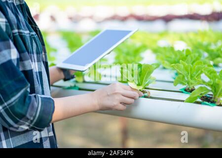 Portrait of young smart farmer using digital tablet computer for inspecting. using technology in agriculture field application in agricultural growing Stock Photo