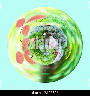 A planet with a little snail sitting on a rock Stock Photo