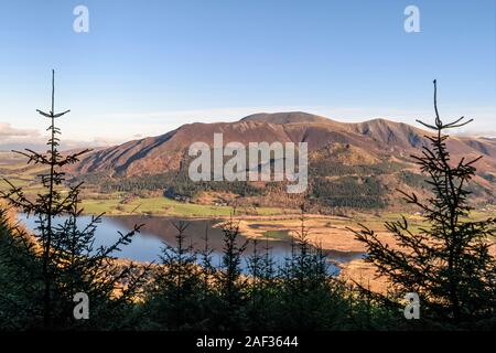 Looking across Bassenthwaite to the Skiddaw Fells from the Whinlatter forest Stock Photo