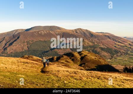 A group of fell walkers climbing towards Lord's Seat with Barf and the Skiddaw fells behind Stock Photo