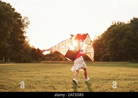 To the sunset. Happy girl in white clothes have fun with kite in the field. Beautiful nature Stock Photo