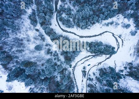 Winter forest with frosty trees and a little meandering stream, aerial view Stock Photo