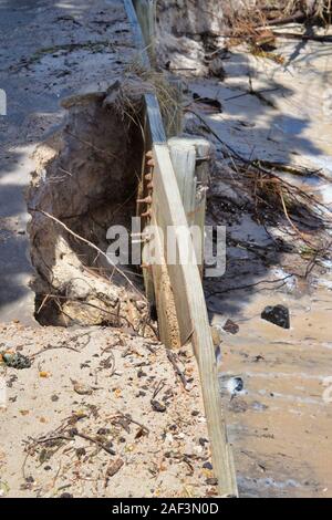 King tide and wind gusts erode ground under retaining wall causing part of  a walkway to collapse. Bongaree, Bribie Island, Queensland Australia Stock Photo
