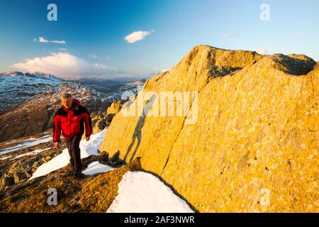 A walker passes lichen covered rocks on Great Carrs above Wrynose in the Lake District, Cumbria, UK, looking towards Crinkle Craggs and Bow Fell. Stock Photo