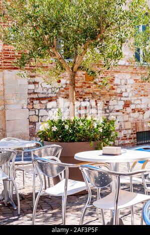 Young olive tree growing in a big flowerpot with blooming flowers on the street with red bricks wall on the background and metal tables and chairs sta Stock Photo