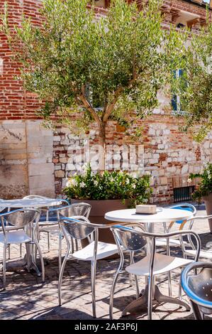 Young olive tree growing in a big flowerpot with blooming flowers on the street with red bricks wall on the background and metal tables and chairs sta Stock Photo