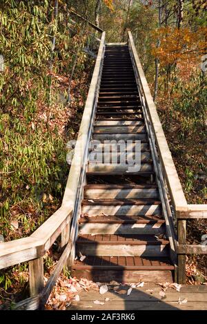 Tallulah Gorge state park in Tallulah Falls Georgia USA provides a series of wooden walkways for hikers to enjoy the public park. Stock Photo
