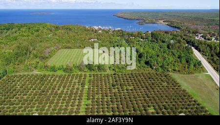 Aerial view of apple and cherry orchards at Lautenbach’s Orchard Country Winery & Market, Fish Creek, Door County, Wisconsin, USA. Stock Photo