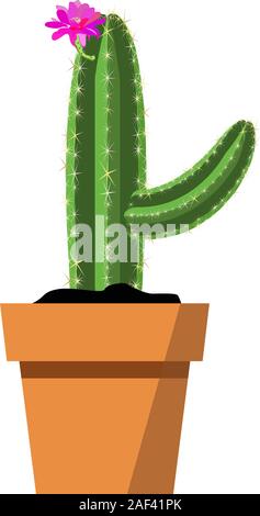 Potted beautiful bright pink spiky vector cactus flower isolated on white. Cactus plant for Interior decor and cartoon animation props Stock Vector