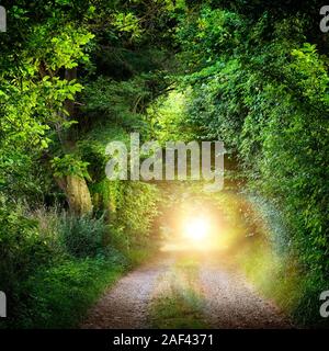 Fantasy landscape with a green tunnel of illuminated trees on a forest path leading to a mysterious light. Brightly lit outdoor night shot. Stock Photo