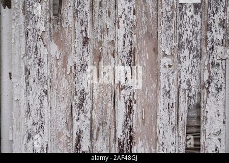 The white wood texture with natural patterns background. Dirty concrete texture with cracks and holes. Stock Photo