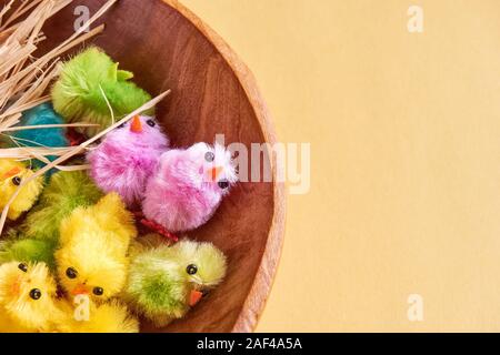 Easter background with fluffy pink, yellow, green and blue, small fake easter chicks and natural raffia nest material in a wooden bowl on yellow. Stock Photo