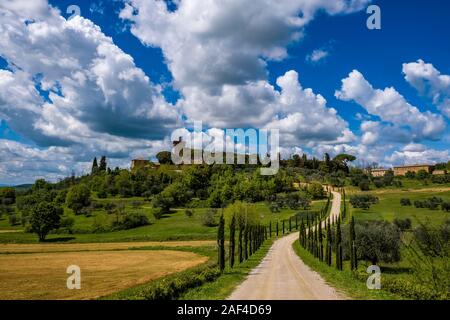 Typical hilly Tuscan countryside in Val d’Orcia with fields, trees and a gravel road with a cypress avenue leading to Palazzo Massaini Stock Photo