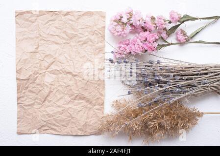 Blank paper page with copy space and various dried herbs on white background. Stock Photo