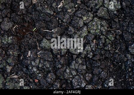Chapped ground. Unusual heat, Land after a drought. Stock Photo