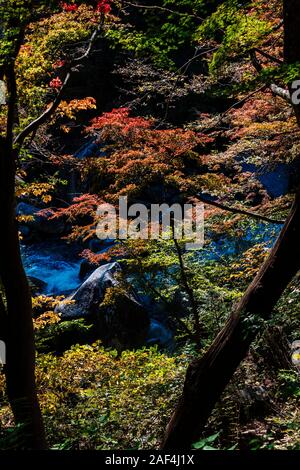 Autumn colors in Shosenkyo Gorge, Yamanashi Prefecture, Japan Stock Photo