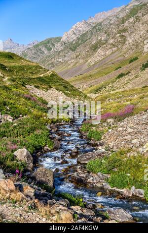 Kaçkar Mountain summit climb starts in Yusufeli Yaylalar Village. Mountaineers are walking in the greenery and on the track accompanied by a stream Stock Photo