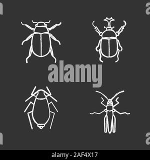 Insects chalk icons set. Chafer, hercules beetle, aphid, grasshopper. Isolated vector chalkboard illustrations Stock Vector