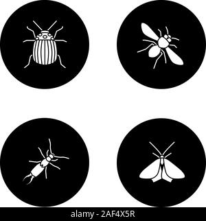 Insects glyph icons set. Colorado beetle, honey bee, earwig, moth. Vector white silhouettes illustrations in black circles Stock Vector