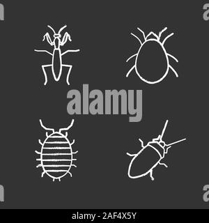 Insects chalk icons set. Cockroach, caterpillar, butterfly, stink ...