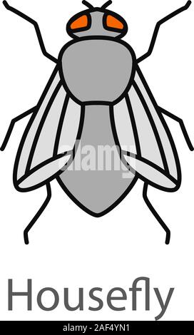 Housefly Illustration: Over 4,162 Royalty-Free Licensable Stock  Illustrations & Drawings | Shutterstock