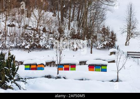 Winter, snowy scenery with colourful beehives covered with snow, placed on the hill. Snow covered trees and mountains in the background. Stock Photo
