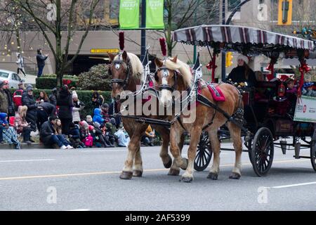 Vancouver, Canada - December 1, 2019: Stanley park horse drawn tours company takes part in the annual Santa Claus Parade In Vancouver Stock Photo