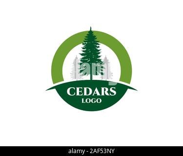 cedar plant wood forest logo Stock Vector