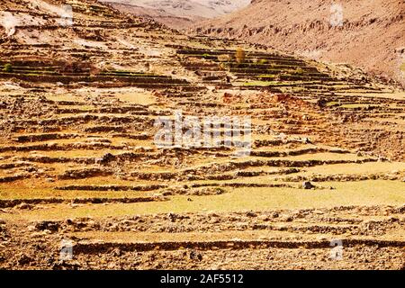 Field terraces above a Berber village in the Anti Atlas mountains of Morocco, North Africa. In recent years, rainfall totals have reduced by around 75 Stock Photo