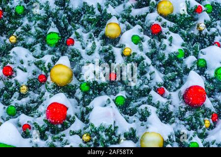 Detail of Christmas ornaments on outdoor tree with fresh snow. Photographed during light snowfall in November in Castle Rock Colorado US. Stock Photo