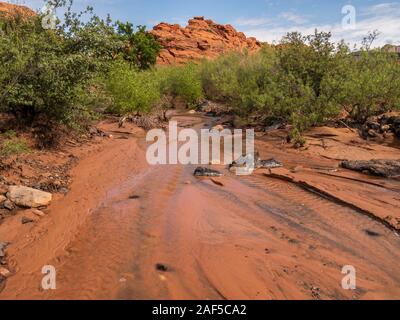 Flowing stream bed after rain, Snow Canyon State Park, St. George, Utah. Stock Photo