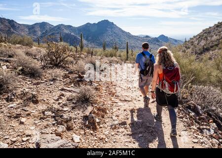 Saguaro cactus and hikers in the McDowell Sonoran Preserve gateway Trail, Scottsdale, Arizona, USA. Stock Photo