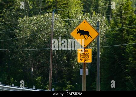 a warning for moose crossing the road, night danger bilingual signs, with power Lines and forest trees in the background Stock Photo