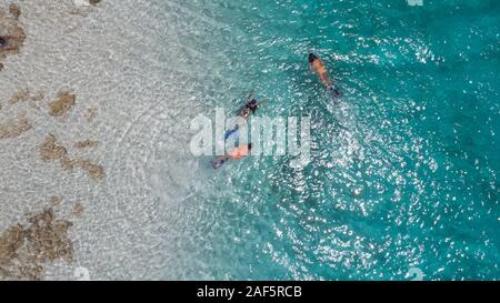 Young girls snorkeling in blue clear waters above coral reef on red sea in los roques venezuela . Travel and lifestyle concept. Top view. Three snorke Stock Photo