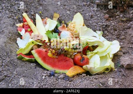 Domestic waste for compost from fruits and vegetables in garden. Stock Photo