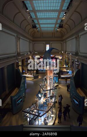Visitors viewing the exhibits at the Smithsonian Museum of Natural History, one of the most visited museums in the United States. Stock Photo