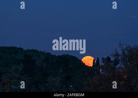 A beautiful full red moon rises from behind a hill with trees Stock Photo
