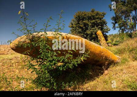 Ethiopia, Tigray, Axum (Aksum), Stelae Park, leaning stela covered in colourful lichen Stock Photo