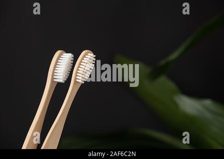 Close up of two bamboo toothbrushes and green leaf on a dark background. Bathroom essentials. Dental care and zero waste concept. Stock Photo